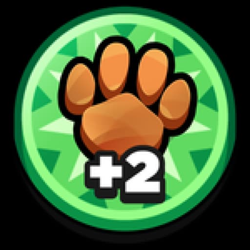 +2 PET SLOTS