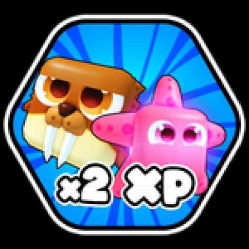 X2 PET XP