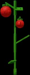 Tomato Plant